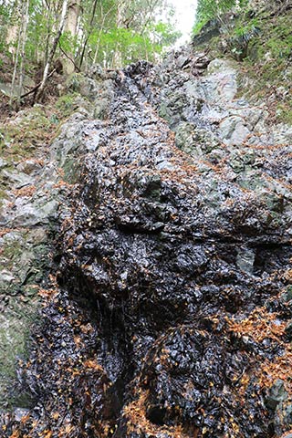 Mandara Falls