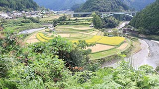 Aragi Island