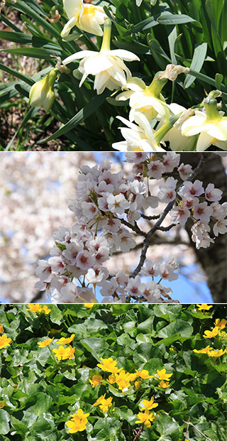 堺田分水嶺