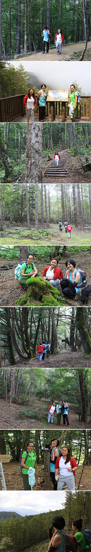 Trekking at Mt.Kushigata