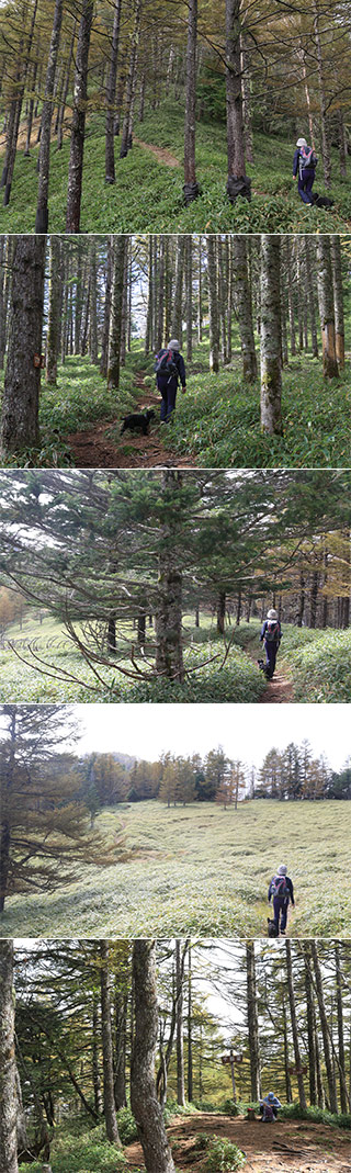 Mt. Sentoboshi