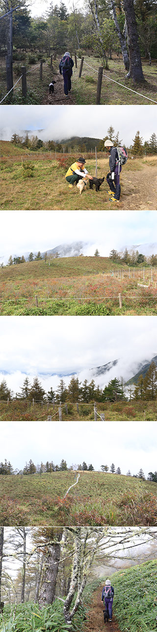 Mt. Amari
