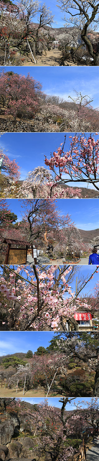 Furo-en Garden