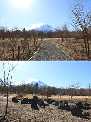 富士散策公園